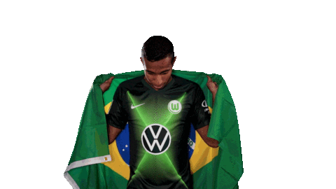 João Victor Soccer Sticker by VfL Wolfsburg