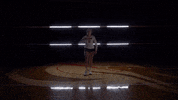 MSUMDragons dragons msum msum dragons msumoorhead GIF