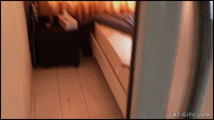 asudeasar giphyupload GIF