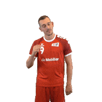 swisshandball_official no omg damn shame Sticker