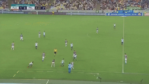 pedro GIF by Fluminense Football Club