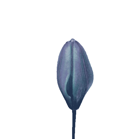 Flower Bloom Sticker by Ted Baker