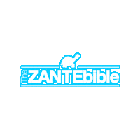 Zante Sticker by Holiday Box Office