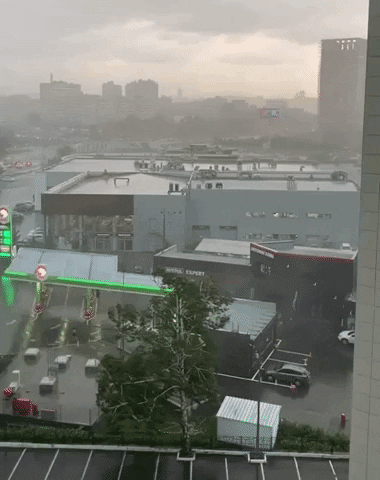 nizamov121090 giphyupload GIF