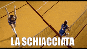 Customvolley volleyball italia volley spike GIF