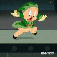 Looney Tunes Running GIF by HBO Max