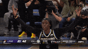 Happy Lets Go GIF by WNBA