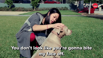 You Don't Look Like You're Gonna Bite