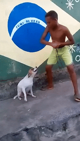 Video gif. A boy dances on a sidewalk, shaking his hips and pumping his arms as a puppy looks up at him and appears to dance along. Text on a mural in the background reads, in Portuguese, "Rumo ao hexa."