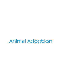 animaladoptioncenterjh rescue animal rescue aac animal adoption Sticker