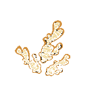 Ginger Sticker by Voelkel