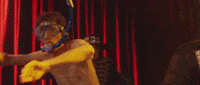 camilo tutu camilo GIF