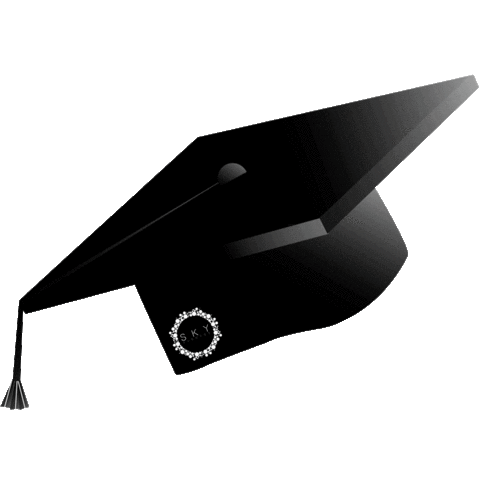 Festa Capelo Sticker by sejaskyeventos