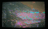 Wanderkid GIF by JW Francis