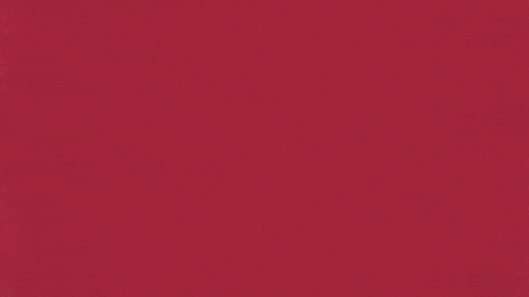 Charroslmb2025 GIF by Charros de Jalisco
