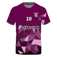 BalonmanoCasetas bm balonmano aficion casetas Sticker