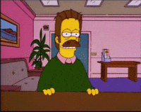Ned Flanders Insanity GIF by The Simpsons