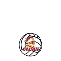 Volleyball Sticker by Calvin University