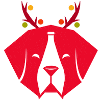Fun Christmas Sticker by BottleRover