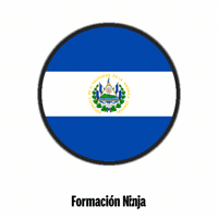 El Salvador Flag GIF by Formación Ninja