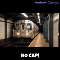 New York Vote GIF by Andrew Cuomo