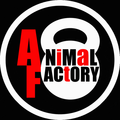 Af GIF by Animal Factory