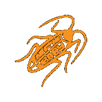 Bug Cockroach Sticker