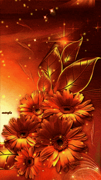 flowers GIF