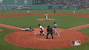 major league baseball sport GIF by MLB