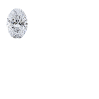 Diamond Ring Sticker by Novita Diamonds