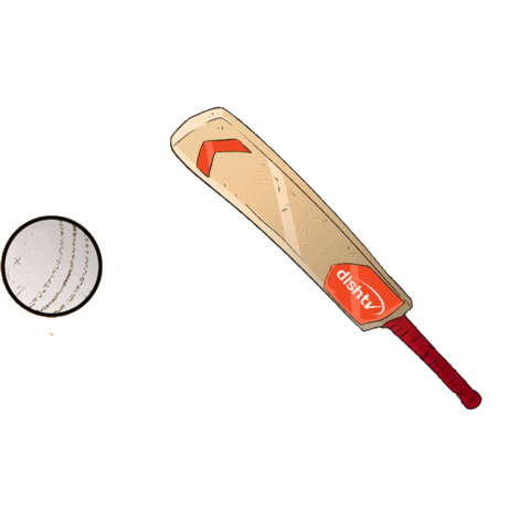 dishtvindia giphyupload celebration cricket shot Sticker