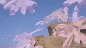 GIF by Partisan Records
