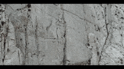 Fall Hiking GIF by VVS FILMS