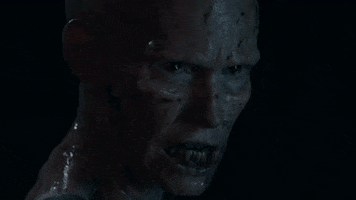 50 States Of Fright GIF by The Roku Channel
