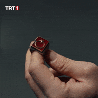 Turkish Flag Ring GIF by TRT