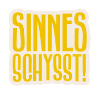 convinisverige makes sense convini sinnesschysst Sticker
