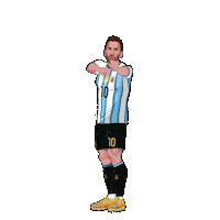World Cup Football Sticker by Panini America