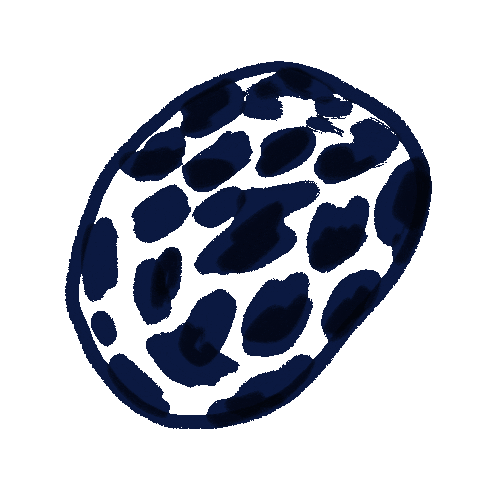 Cow Morphing Sticker