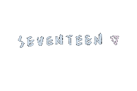 세븐틴 Carat Sticker