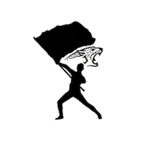 Jaguar Jags Sticker by JohnsonHSBand