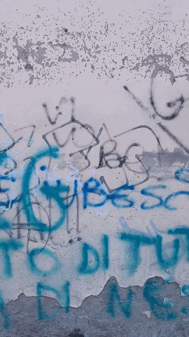 Simongip giphygifmaker GIF