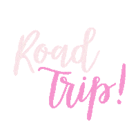 Road Trip Party Sticker by Sprinkled With Pink Shop