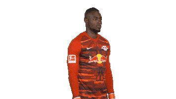 Posing Line Up Sticker by Bundesliga