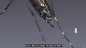 Protect Public Health GIF by SGVmosquito