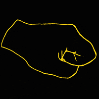 nicemoves  GIF
