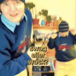 sallyshobbies dance swag dans wack GIF