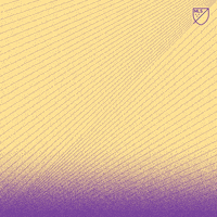 Orlando City No GIF by Major League Soccer