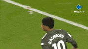 Premier League Football GIF by MolaTV