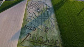 Italian Artist Creates Picasso Portrait in Field, Marking 50 Years Since Death
