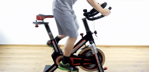 Fit Bike